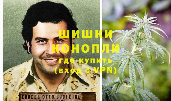 эйфоретик Богданович